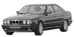 BMW E34 P1200 Fault Code